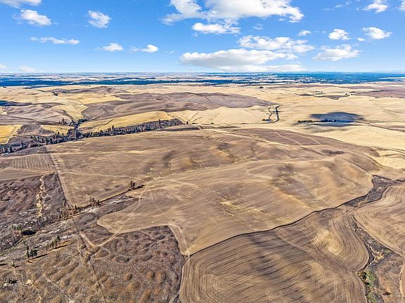 3rd image of Wells Rd
