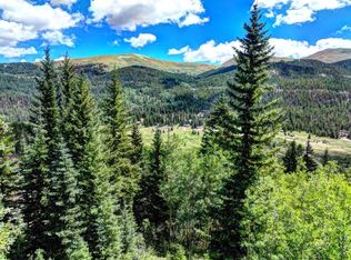 777 Roberts Rd, Alma, CO 80420