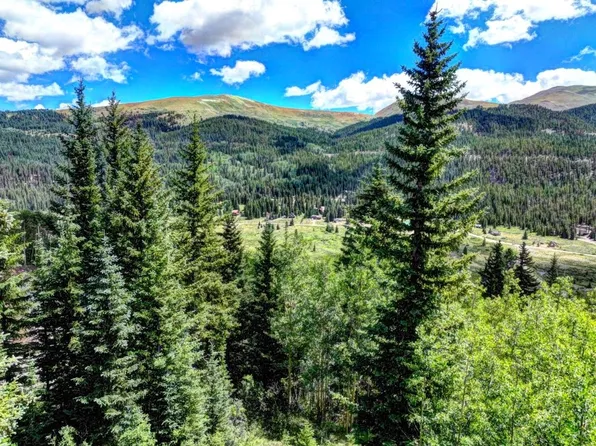 777 Roberts Rd, Alma, CO 80420