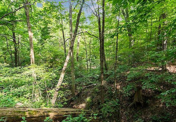 2nd image of 137 Green Hollow Dr