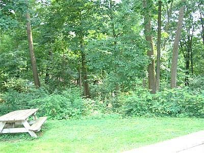 Very private backyard