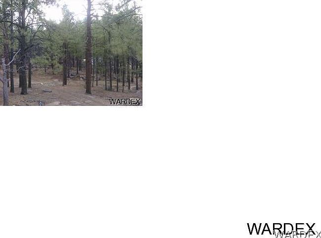 1st image of - S Wallapai Drive