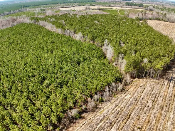 0 Bluefoot Rd, Cofield, NC 27922