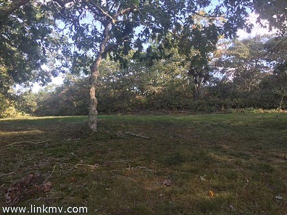 Over 3 acres of beautiful land