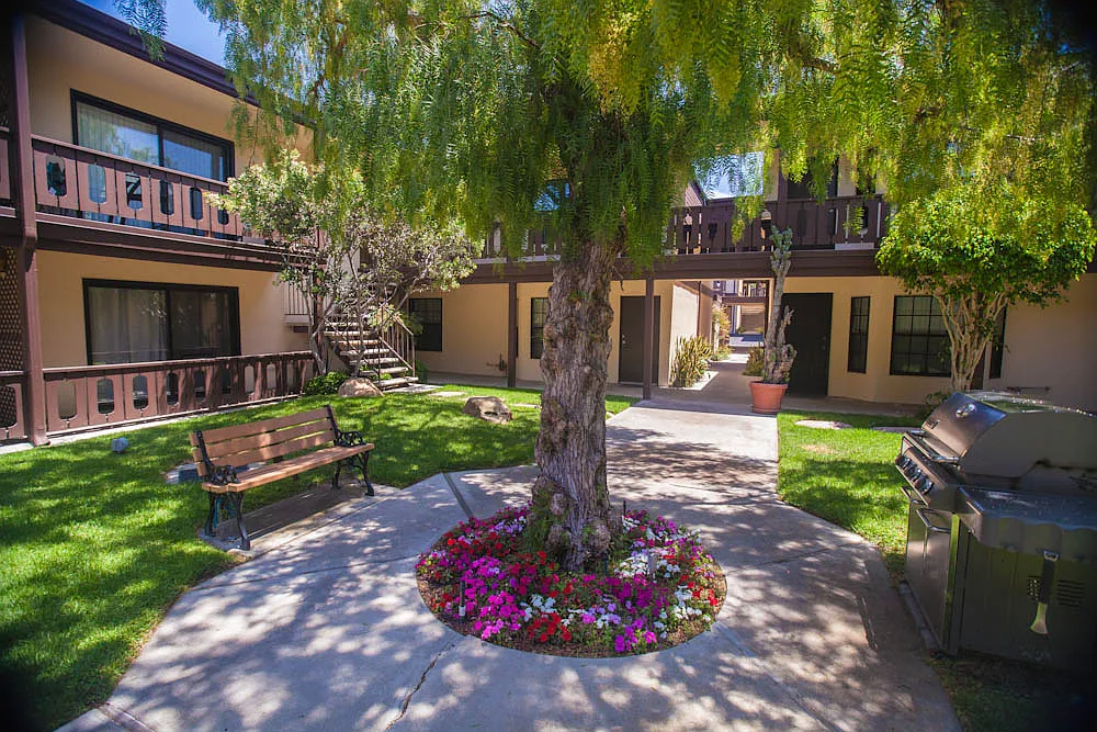 Peppertree Apartments — Photo 3