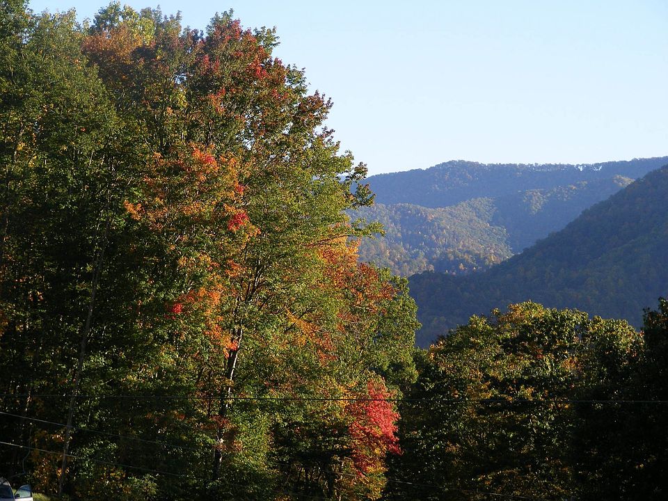 Looking off the deck in early fall.
