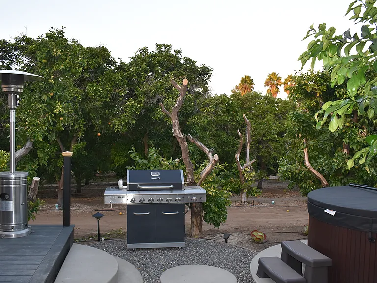 Galena Cir — Photo 33
