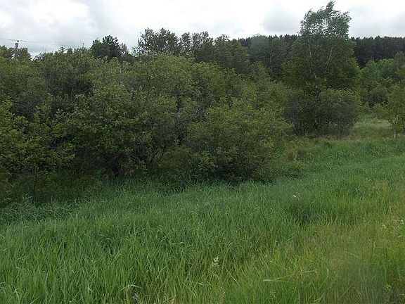 3rd image of XXX Highway 2