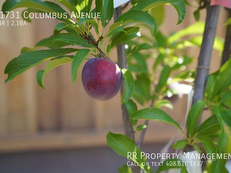 21731 Columbus Ave — Photo 53