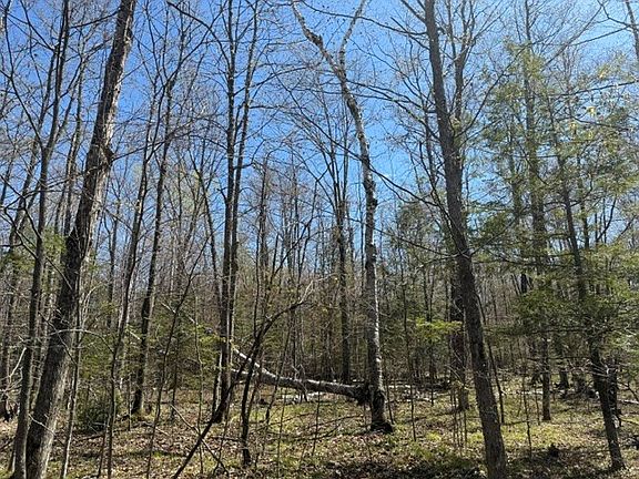 3rd image of LOT 5 Bluebird Trl