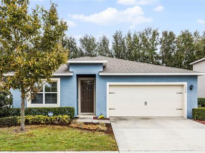 1724 Point O Woods Ct, Mount Dora, FL, 32757