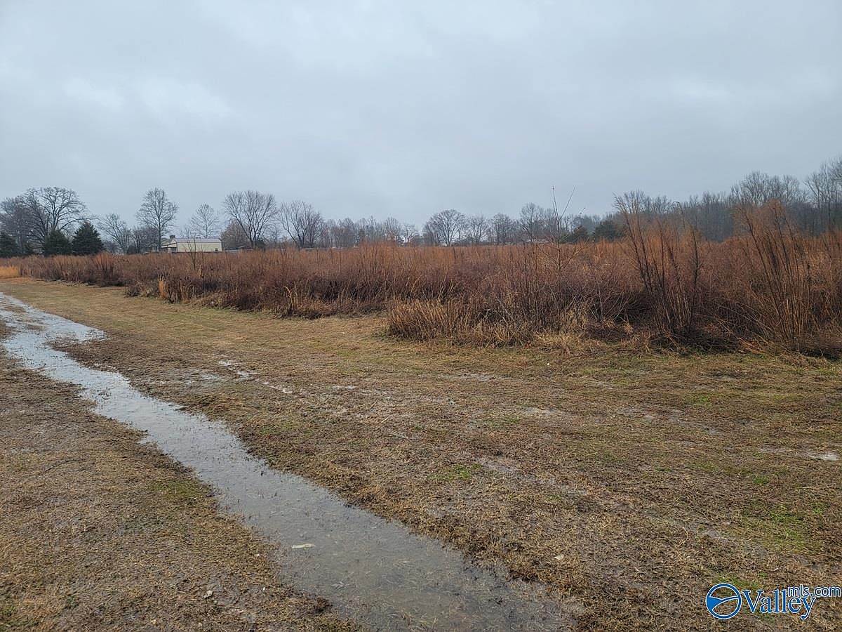 TRACT 3A Pulaski Pike, Toney, AL 35773 Zillow