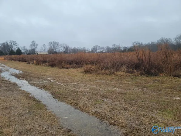 TRACT 3A Pulaski Pike, Toney, AL 35773