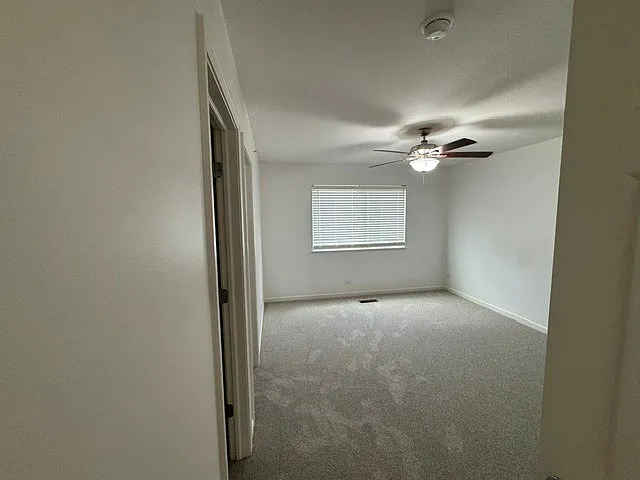 11913 Brunschon Ln — Photo 4