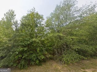 18 E Old Wire Rd, Butler, GA 31006