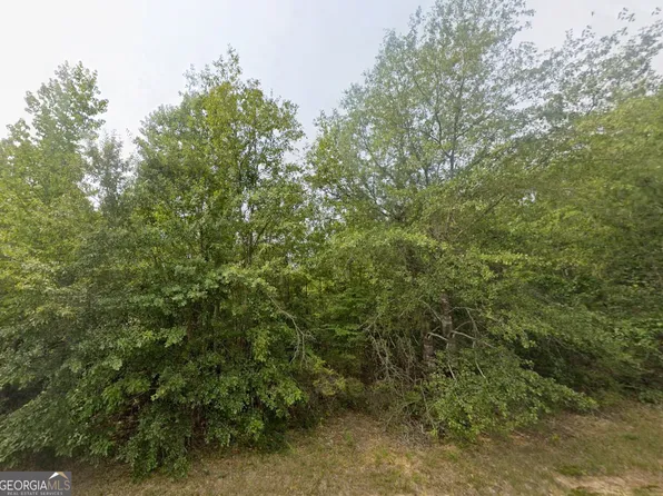 18 E Old Wire Rd, Butler, GA 31006