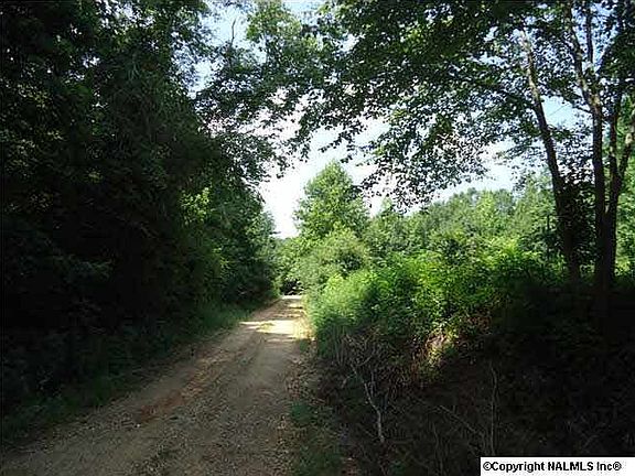 4th image of Portwood Dr