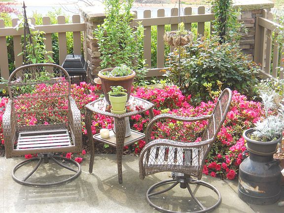 Front Courtyard in bloom