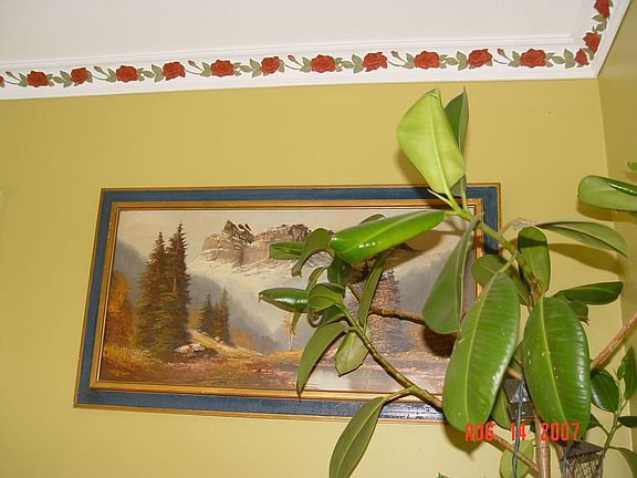 Dining Room Moldings