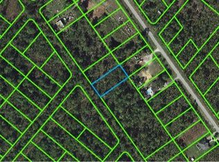 659 Pershing Ave, Lake Placid, FL 33852