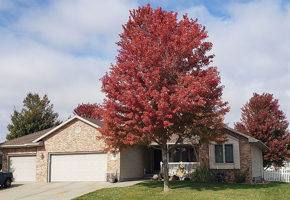 Front of the house-fall