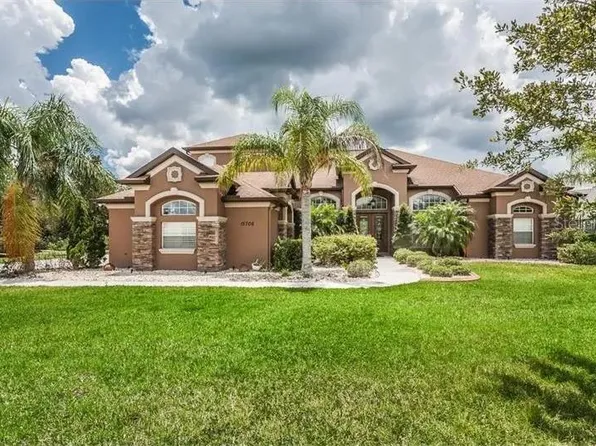 15706 Blue Star Ct, Odessa, FL 33556