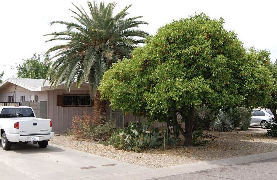 1st image of 4245 E Desert Cactus St