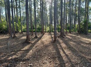 176 Royal Tern Way, Lanark Village, FL 32323