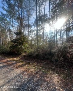 Pine St LOT 2180, Ocean Springs, MS, 39564