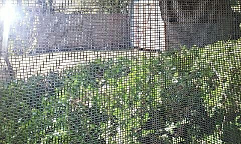 5th image of 3618 French Wood Dr