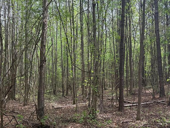 5th image of Old Jackson Rd