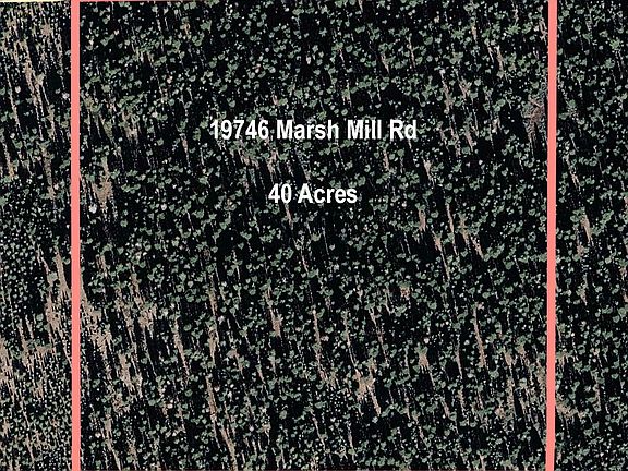 2nd image of 19746 Marsh Mill Rd