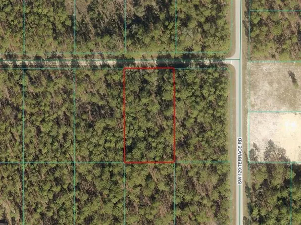 TBD LOT 8 SW 75TH STREET LOT 8, DUNNELLON, FL 34432