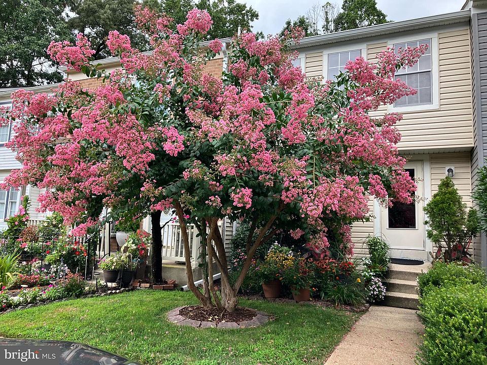 1st image of 32 Long Green Ct