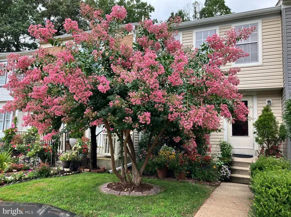 32 Long Green Ct, Silver Spring, MD 20906