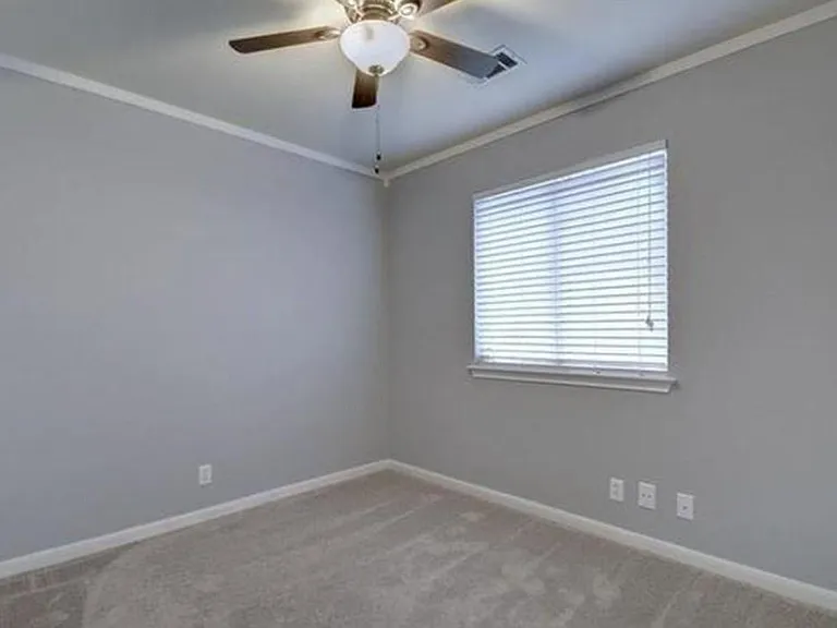 351 Zebra Dr — Photo 10