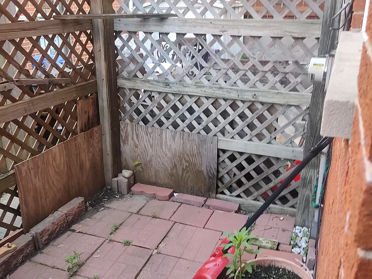 Back yard