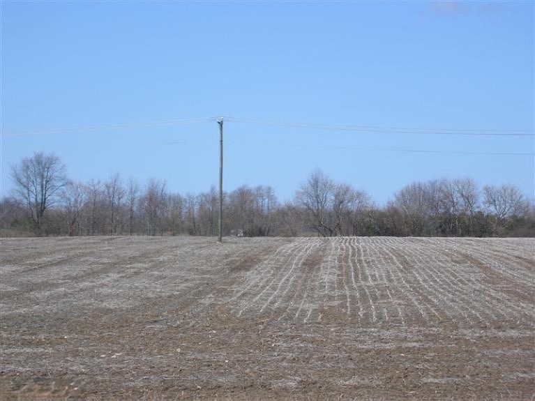 1st image of County Road 388