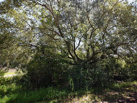3rd image of 000 Shoreside Trl