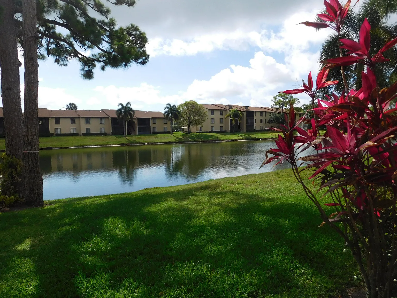 2 bed, 2.0 bath, 1005 sqft, $2,400 — Photo 4