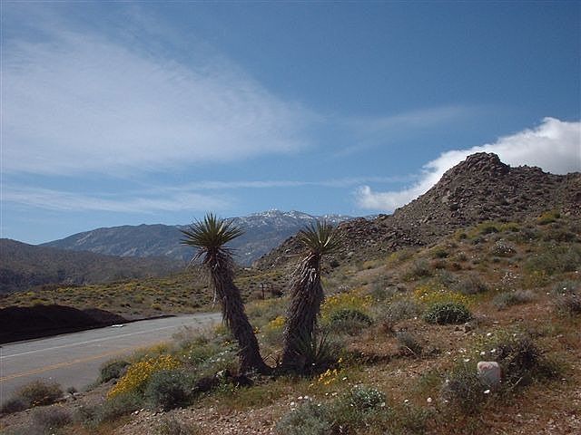 View to East