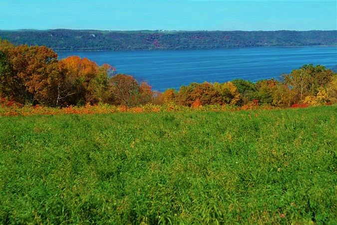 1st image of Genoa Vista Lot#7