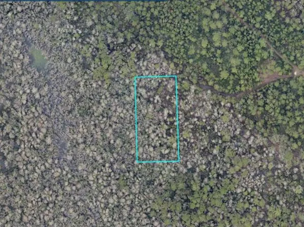 7128-02-12-0200 NO STREET LOT 20, LAKE HELEN, FL 32744