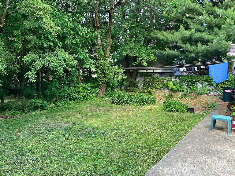 back yard