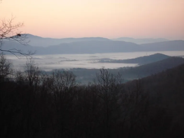 Morning mist