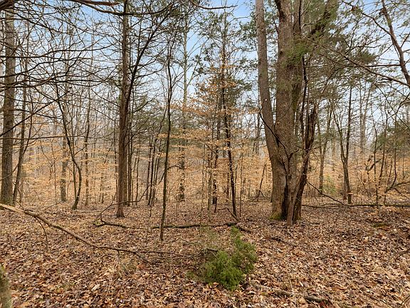 2nd image of 0 Griffintown Rd Lot 2