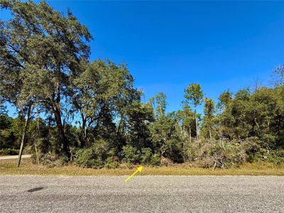 LOT 11 Tulip Ave Lot 11, Eustis, FL, 32736