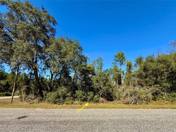 LOT 11 Tulip Ave Lot 11, Eustis, FL 32736