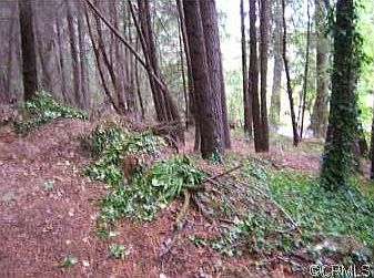 5th image of 10663 State Highway 175