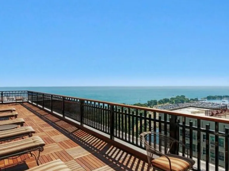 3600 N Lake Shore Dr #2219 — Photo 52